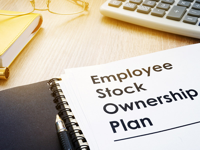 Employee Share/Stock Options