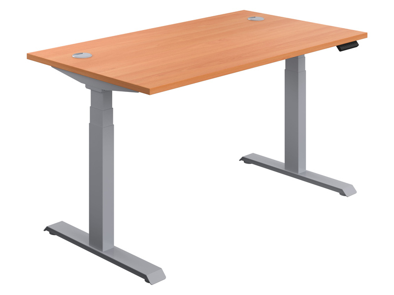 Adjustable Standing Desk (630-1290H x 1200W x 800L, Beech / Silver)