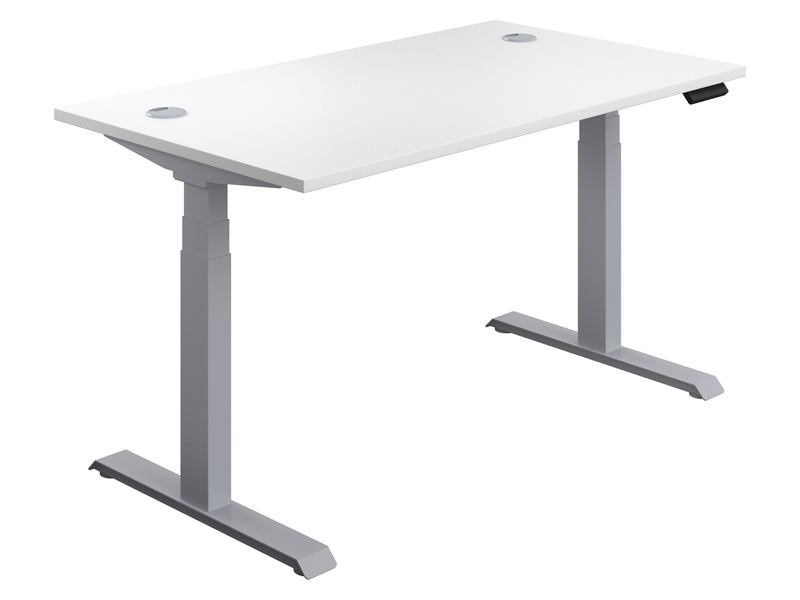 Adjustable Standing Desk (630-1290H x 1200W x 800L, White / Silver)