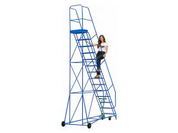 Warehouse Step Ladders