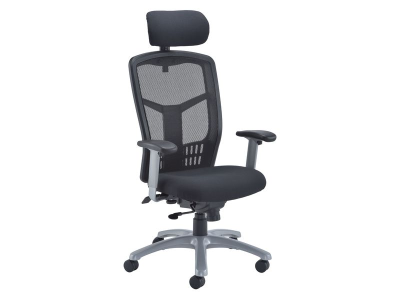 Ergonomic Mesh Chair