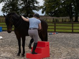 3 Step Plastic Steps