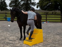 4 Step Plastic Steps