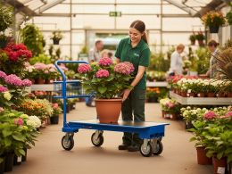 Cash and Carry Platform Trolley