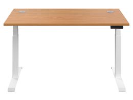 Electric Standing Desk