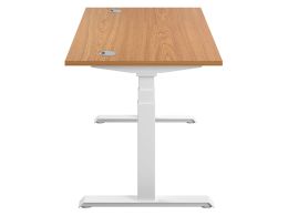 Electric Standing Desk