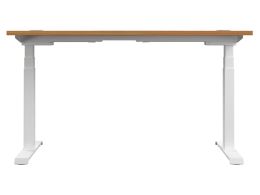 Electric Standing Desk
