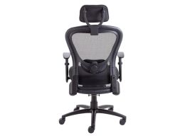 Ergonomic Desk Chair