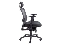 Ergonomic Desk Chair