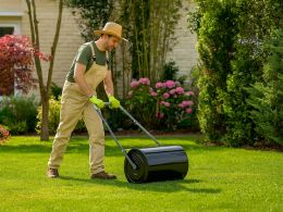 Lawn Roller