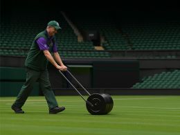 Lawn Roller