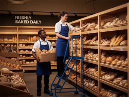 Mobile Steps with Handrail