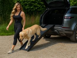 Portable Dog Ramp