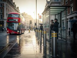 Stainless Steel Mitre Bollard