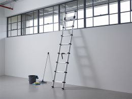 Telescopic Ladder