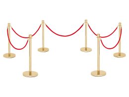 VIP Rope and Posts