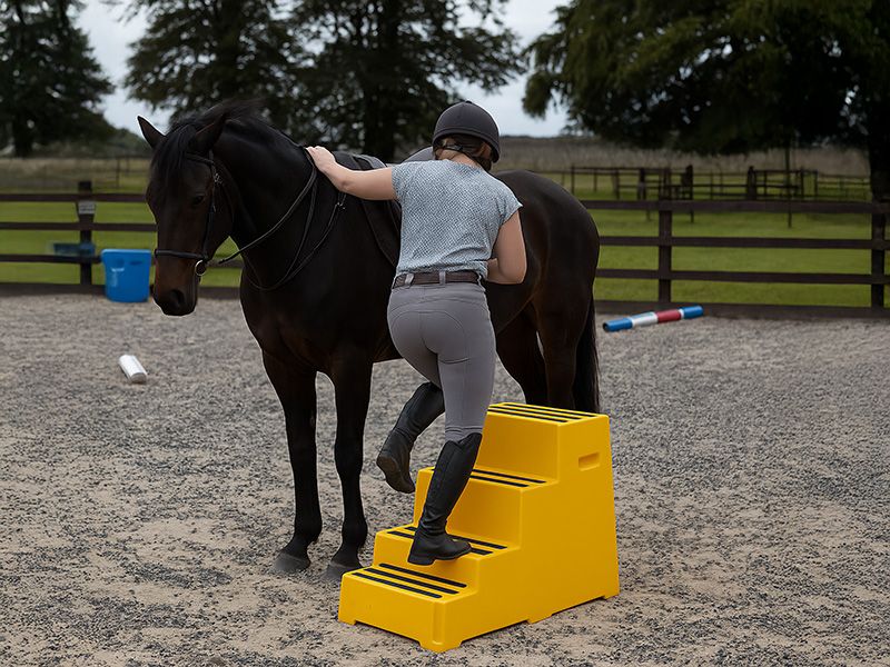 4 Step Plastic Steps