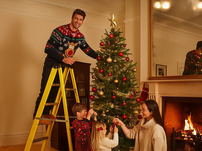 6 Tread Step Ladder