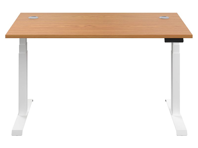 Electric Standing Desk
