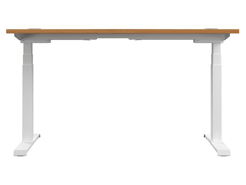Electric Standing Desk