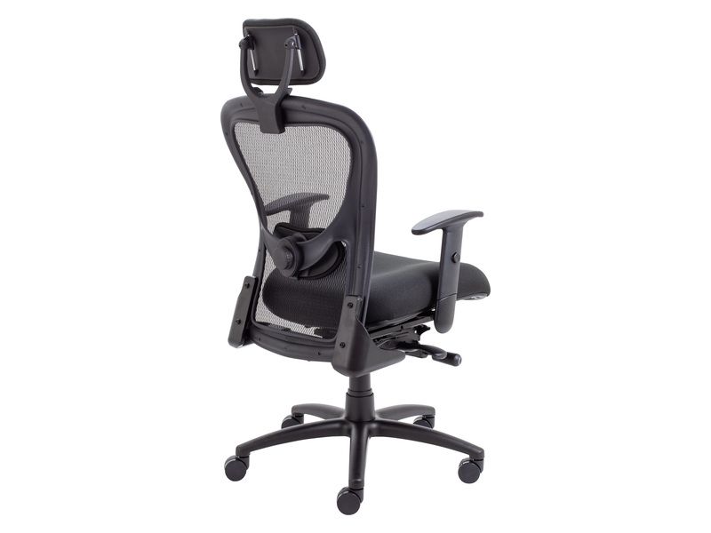 Ergonomic Desk Chair