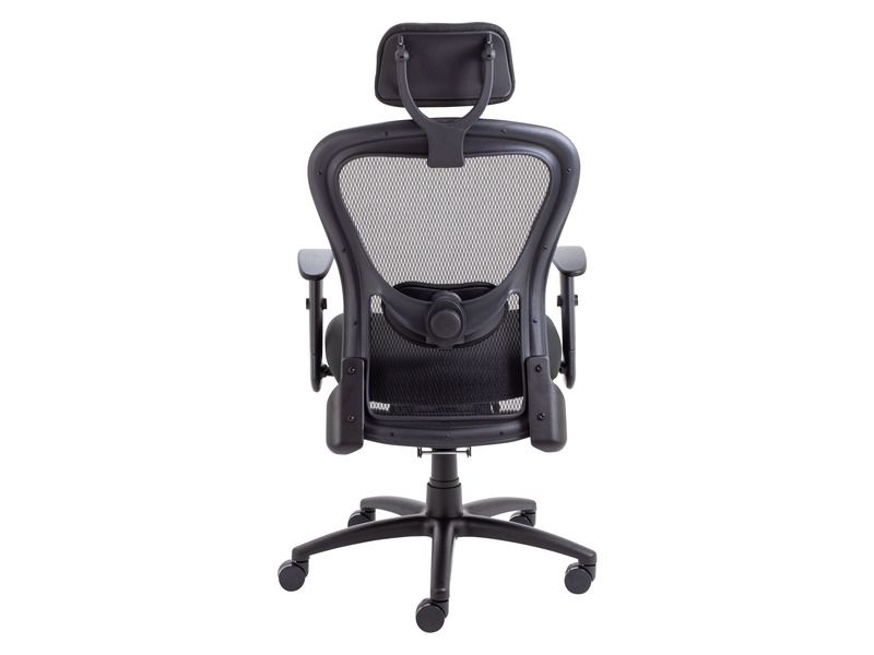 Ergonomic Desk Chair