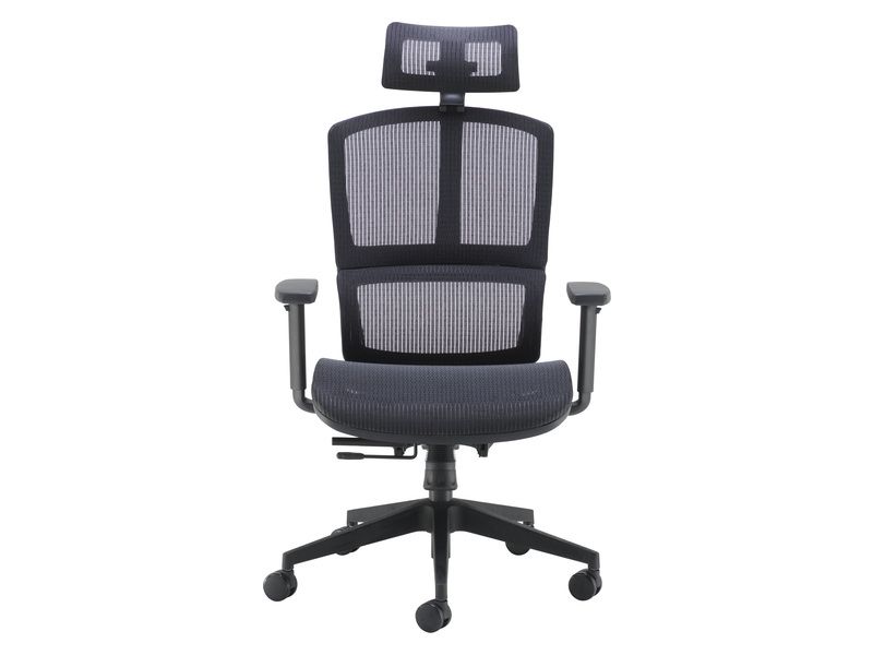 Ergonomic Mesh Office Chair