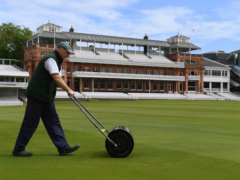 Lawn Roller