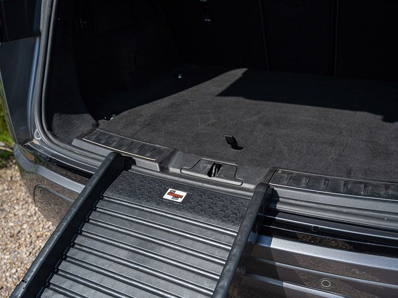Portable Dog Ramp
