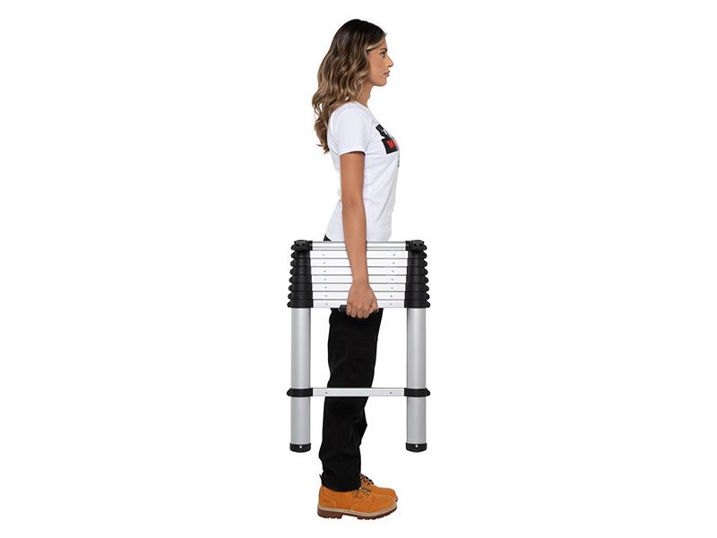 Telescopic Ladder