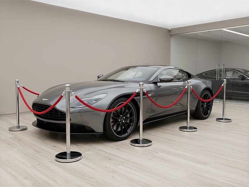 Red Carpet Rope