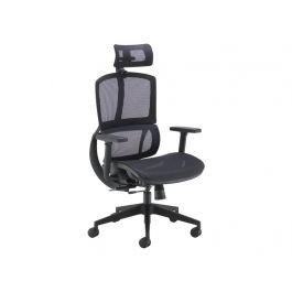 Ergonomic Mesh Office Chair 1 