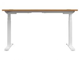 Electric Stand Up Desk