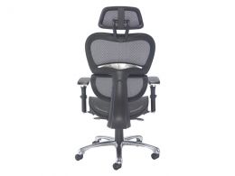 Ergonomic Chair With Headrest