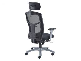 Ergonomic Mesh Chair