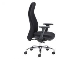 Ergonomic Posture Chair