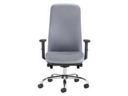 Ergonomic Posture Chair
