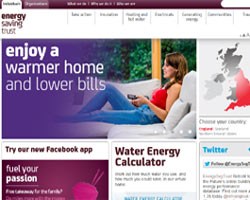 Energy Saving Trust - information for green business