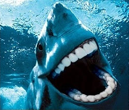 shark-teeth-2