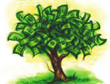 Money tree