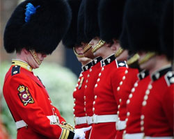 The Buckingham Palace Guards