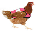 Chicken_hi_vis_jacket_pink_chicken