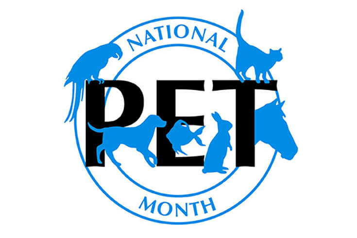 Learn How to Celebrate Your Pets for National Pet Month
