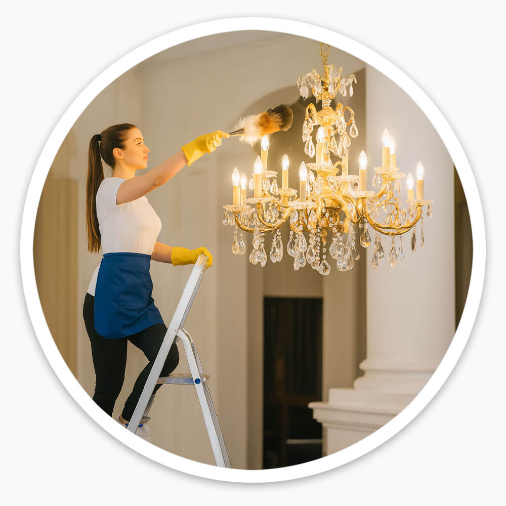 Platform Step Ladder
