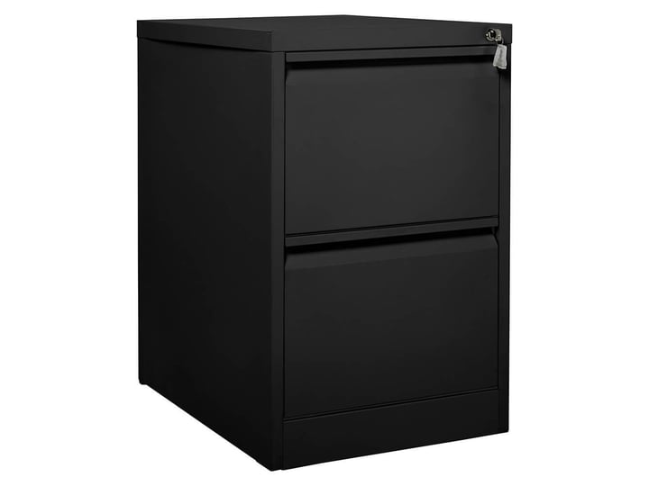 2 Drawer Filing Cabinets