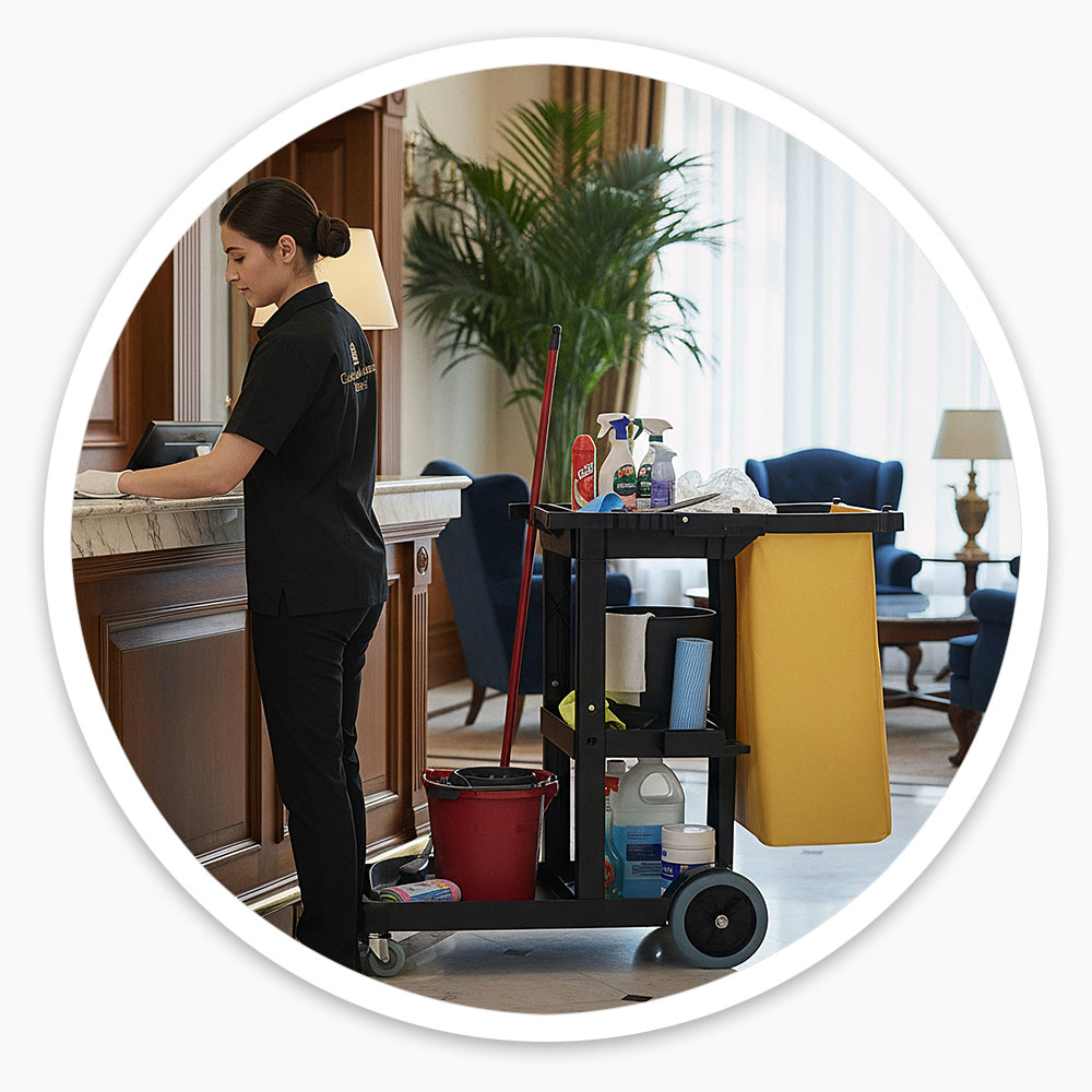 Economy Cleaning Cart